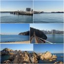 해파랑길 8-9코스 이미지