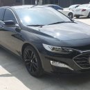 에스(S)게러지 이미지