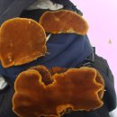 정선 농장 이미지