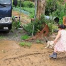 빈이네농장 이미지