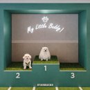 경기동로R 이미지