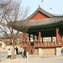 H8048 Daum카페