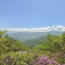 호곡마을길 | 남원 바래봉 등산코스 철쭉 실시간 개화 팔랑치 팔랑마을 주차장