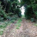 삼거리축사 이미지