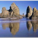 대야농협주유소 이미지