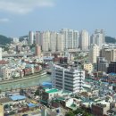 황령산 편백단지 이미지