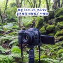 주식회사 콩스튜디오코리아 | 캐논 EOS R6 Mark2 풀프레임 미러리스 카메라 제주도 출사 후기