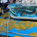 (주)호영 | 구리 농수산물 시장 회 포장 맛집 재정수산(호영수산) 내돈내산 후기