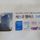 100스탈릿태권도장 이미지