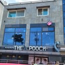 The Pooch 이미지