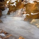 잣나무집 이미지