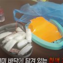 사라유통 이미지