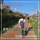 통복천 | 평택 통복천 자전거길 통복시장 벚꽃 나들이