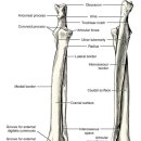 자이동물병원 이미지