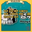 지연이네 강아지 고양이 수제간식 | 청주 오창 애견 수제간식 멍쿠, 고양이도 반한 건강한 맛 후기