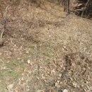 동학농장 이미지