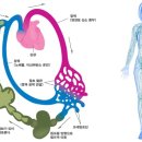 흐를류한의원 이미지