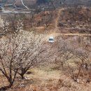 서니농장 이미지