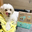 ES 헬스케어 이미지