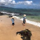 비치라민박 이미지