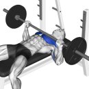 프레스 헬스 이미지