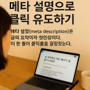 메타보이
