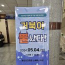 거북이 뿔났다 이미지