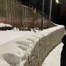 룰루노래연습장 이미지