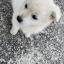 진수찬 이미지