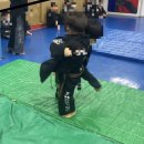 호연 합기도 이미지