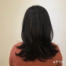 다솜 | 화정미용실 디얼스 이마트화정점 다솜실장 레이어드 컷 후기