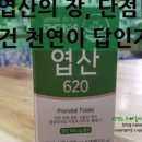 천연김치