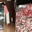 황토한우농장 이미지