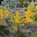 청양 아기랑 갈만한 곳/ 고운식물원