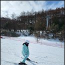 설천면102 | 무주 스키강습 솔직 후기! 몸치 탈출하고 온 '타자고' 주말 강습 리얼 후기 ⛷️