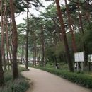 안면도자연휴양림 이미지