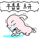 송은영유반외과의원 이미지