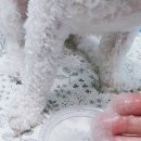 헤어 컹컹 이미지