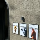 댄디농장 이미지