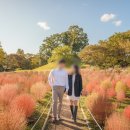 올림픽공원 데이트 스냅 [조작가 스냅]_스튜디오 대신 데이트 스냅으로 가성비 있게 ②