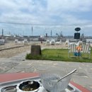 하리애견 이미지