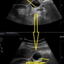 호두정형외과의원 이미지