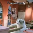 체력단련 이미지