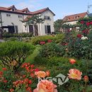 강천산 힐링가 이미지