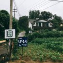 그레이트캠프 르푸앙 | MJ'S:봉봉하우스(가평게스트하우스/게하파티/이용후기)