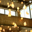 아띠제노스랩 이미지