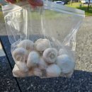 그리고 캠핑장 이미지