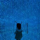 명석어린이집 | 돌아기 일본여행 번외｜16개월 아이와 단둘이 떠난 도쿄, 육아 번아웃을 치유하다.