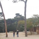 화승여관 네이버블로그