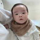 멜로우모브 | 아기 턱받이 추천, 팀부빕 미디엄빕 & 스카프빕 1년 사용 후기